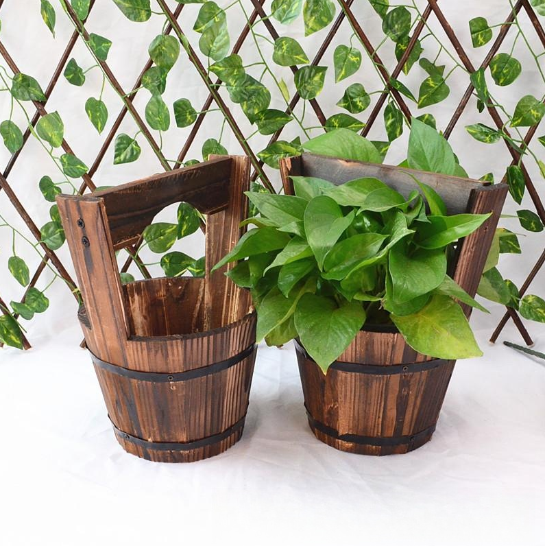 Charred wood succulent planter – corrosion-resistant spruce wood with breathable design | ideal for gardening at home and in the office